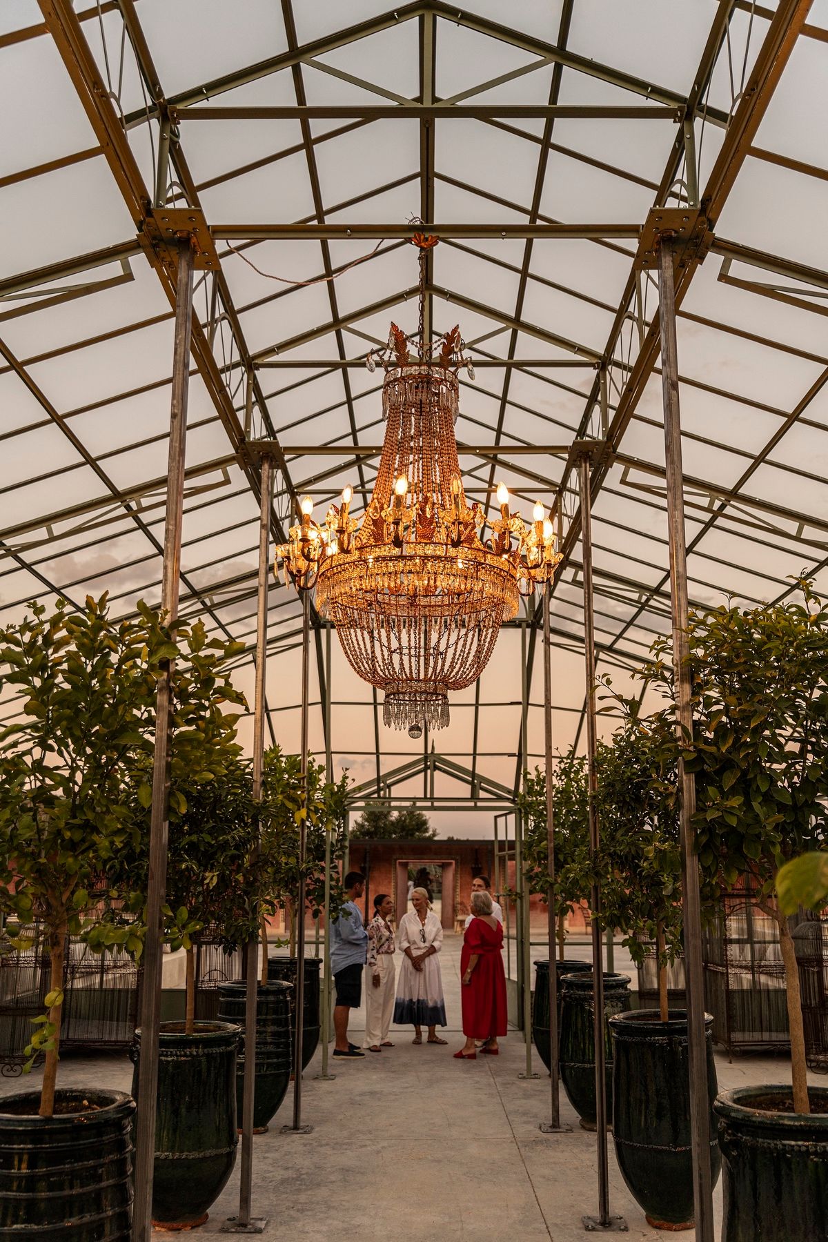 Serra in ferro e vetro con grande lampadario di cristallo tra alberi di limone in vaso